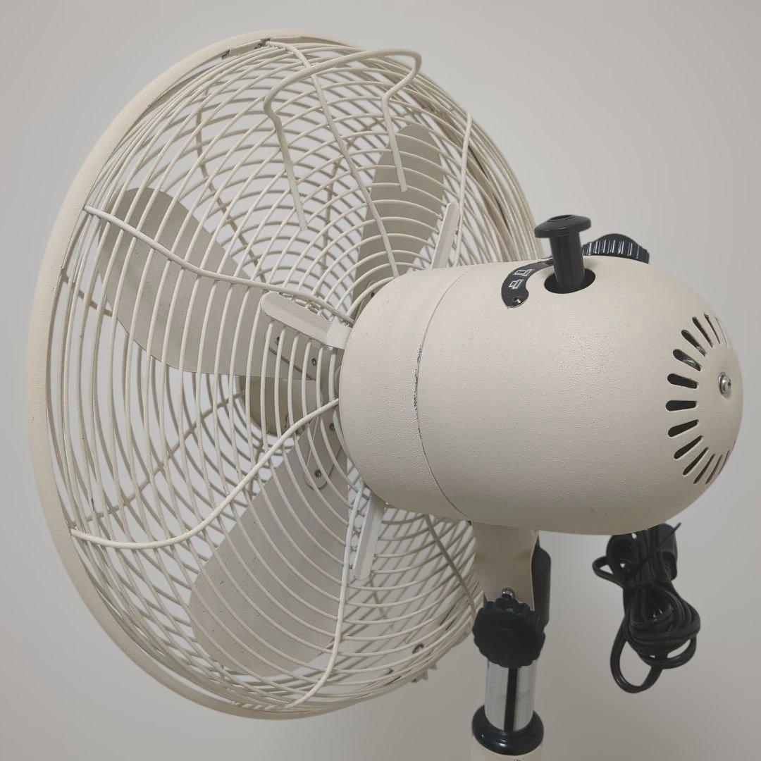 HERMOSA ハモサ レトロファン アイボリー　アンティーク　ヴィンテージ