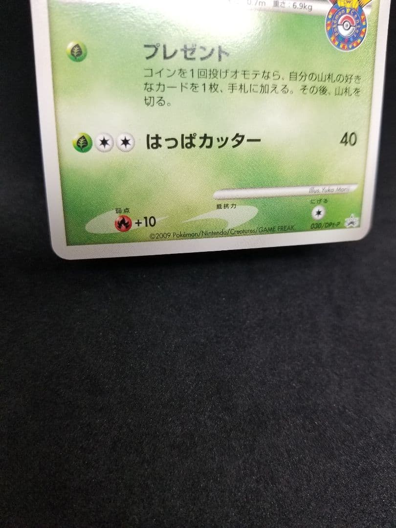 激レア非売品!フシギダネ PROMO DPt-Pプロモカード 030/051