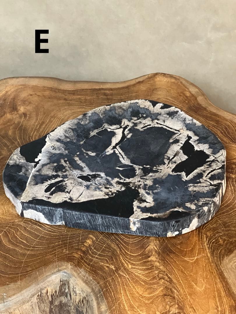 フォッシルプレート　珪化木