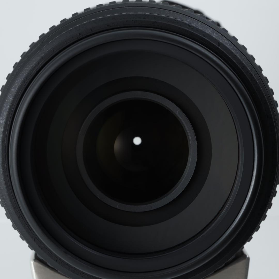3159 ★AF-S 55-300mm★NIKONニコン★手ぶれ補正付き超望遠