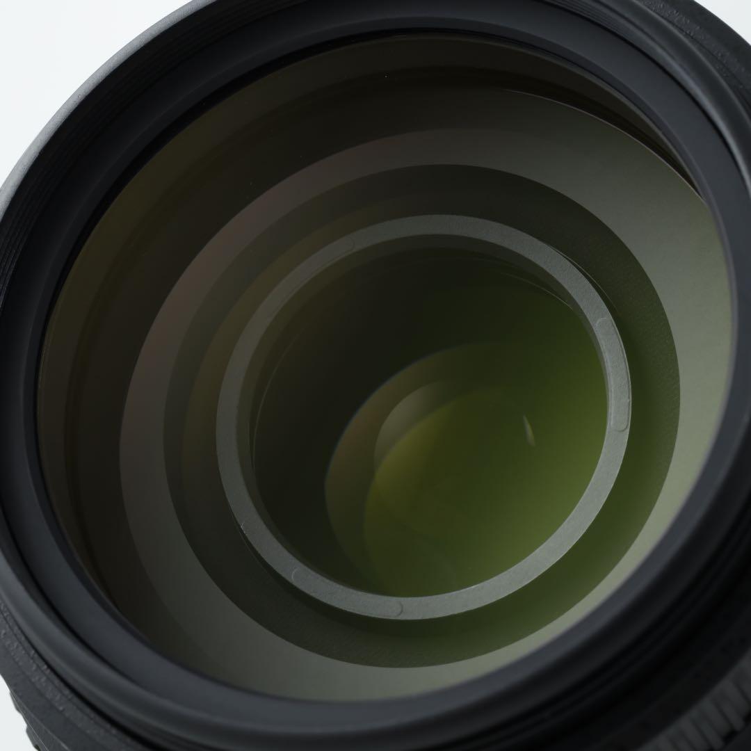 3159 ★AF-S 55-300mm★NIKONニコン★手ぶれ補正付き超望遠