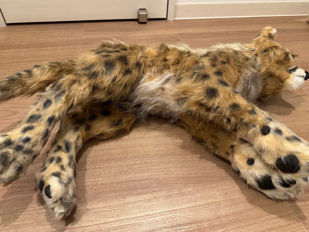 海外作家様作　アートドール　チーターの子供