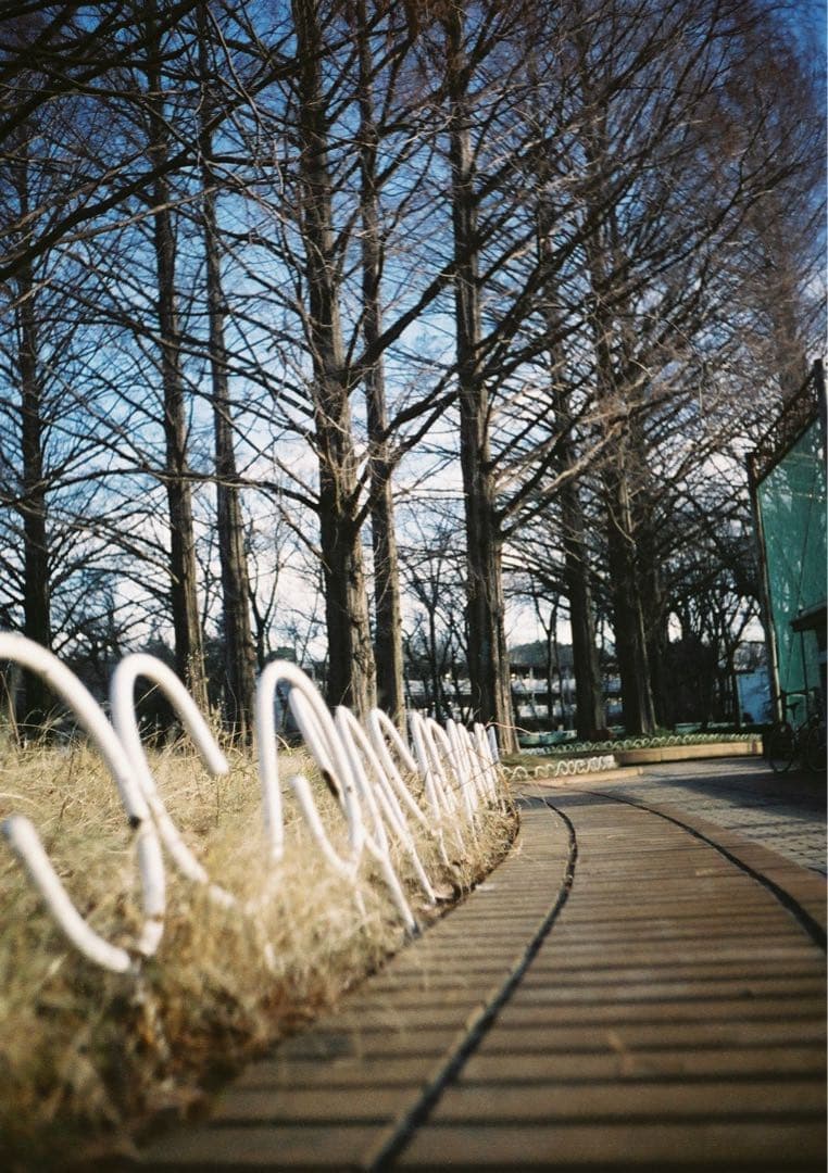 【動作確認・清掃済み＊試写あり】リコーオートハーフS カメラケース付き♪