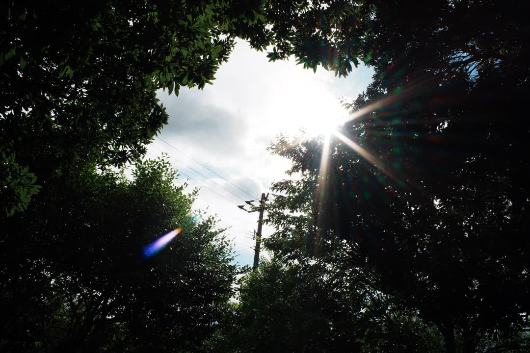 レンズ(単焦点) Carl Zeiss distagon 28mm F2.8 MMJ 528