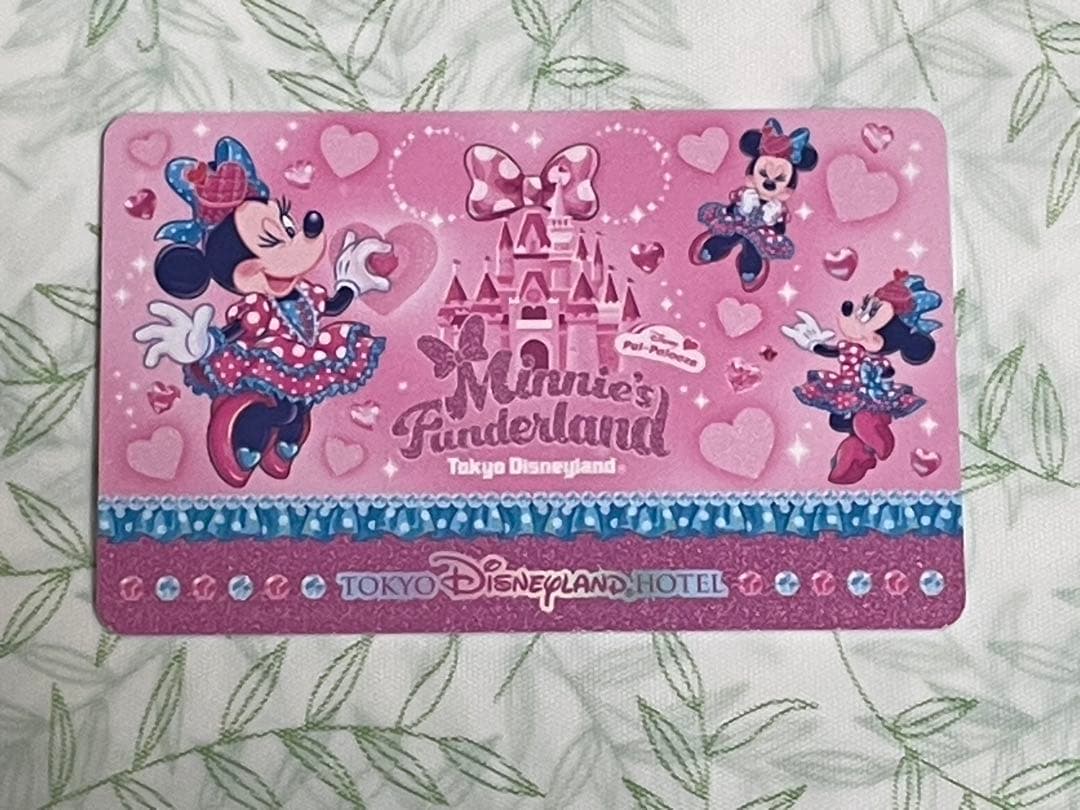 ミニー　パルパル　ファンダーランド　ディズニーランドホテル　ルームキー　ケース他