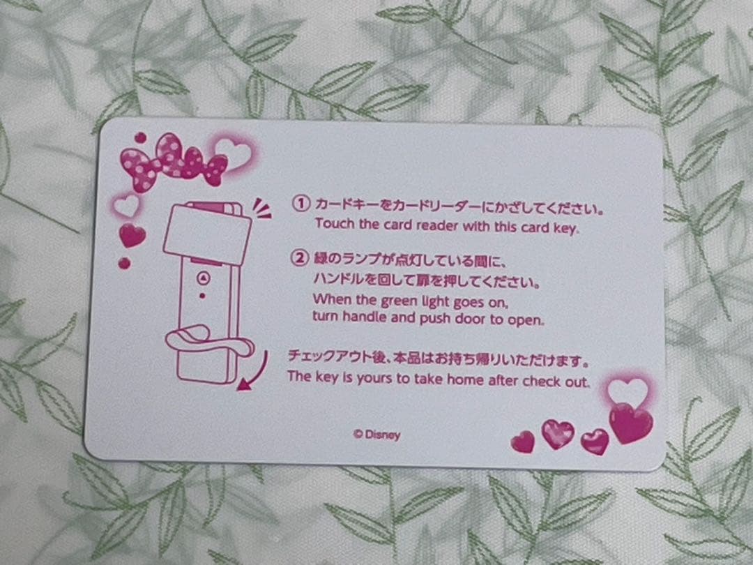 ミニー　パルパル　ファンダーランド　ディズニーランドホテル　ルームキー　ケース他