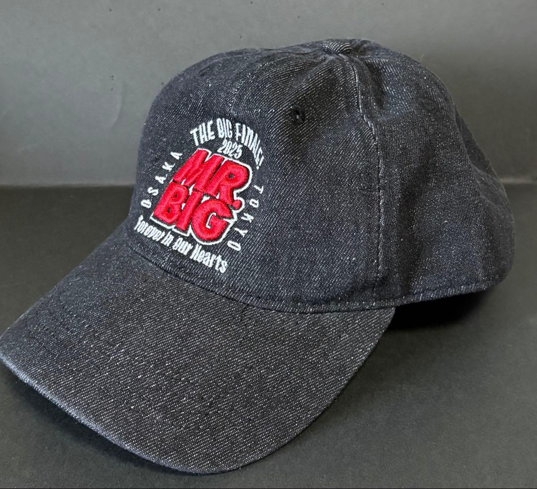 Mr.Big THE BIG FINALE グッズ　スタジアムジャケット