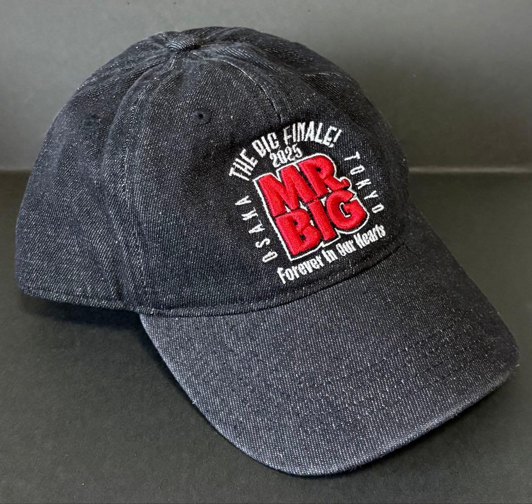 Mr.Big THE BIG FINALE グッズ　スタジアムジャケット