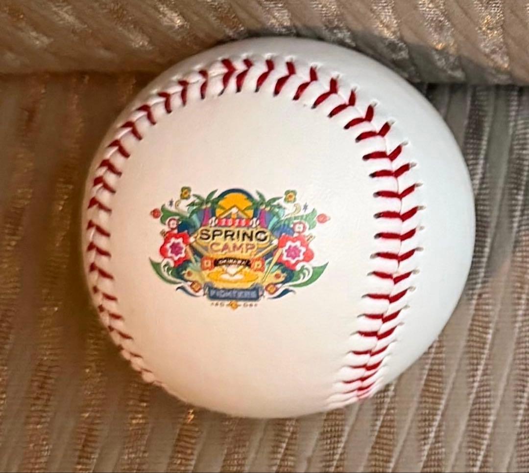 北海道日本ハムファイターズ 達孝太 直筆サインボール 沖縄限定