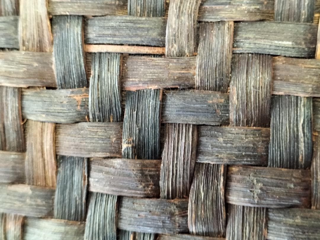 山ブドウ蔓バック