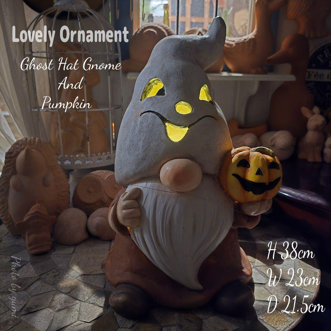 見たことのないとっても珍しいノームさんの電池ボックス式オブジェ♡1点もの໒꒱·