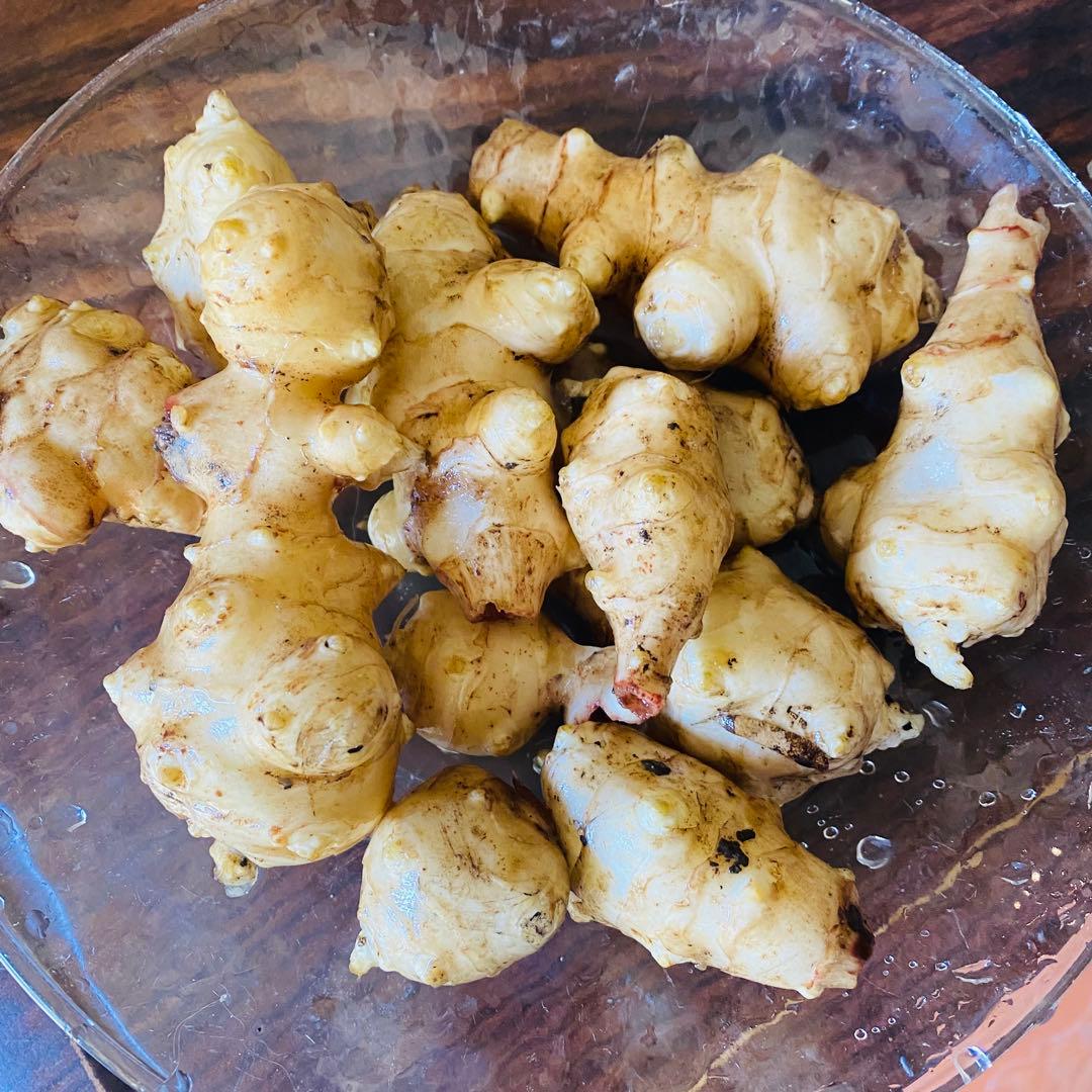 菊芋が生えてくる肥沃な土　みかん箱3箱分パンパンに詰めます