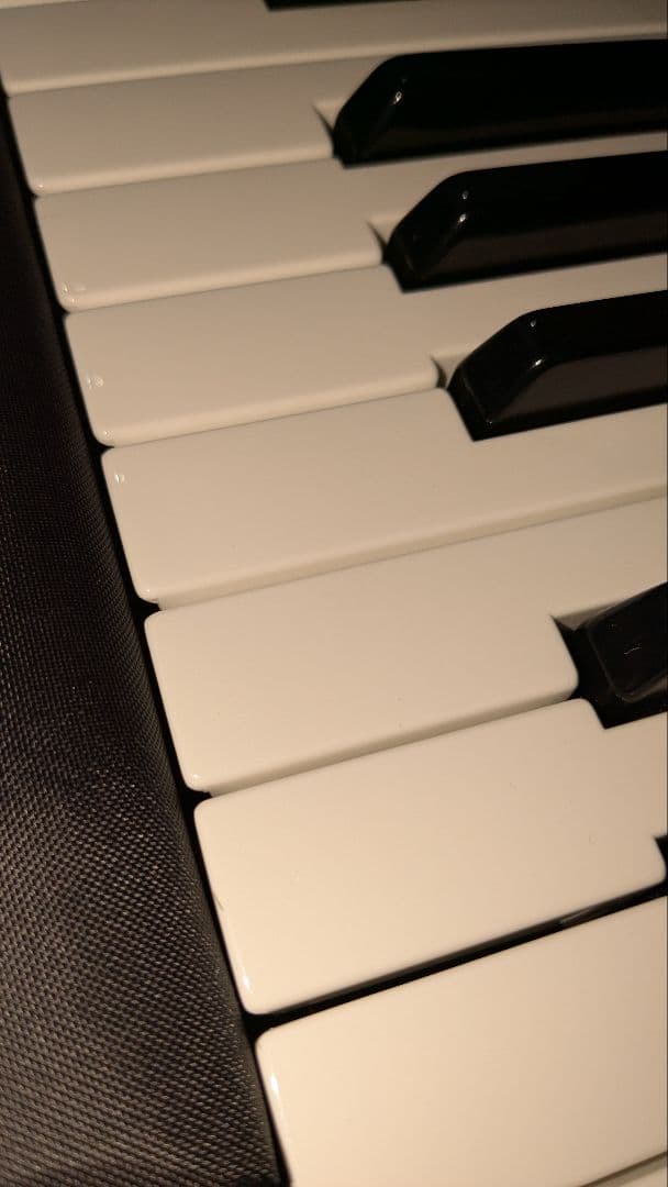 Roland JUNO-DS 76鍵 シンセサイザー