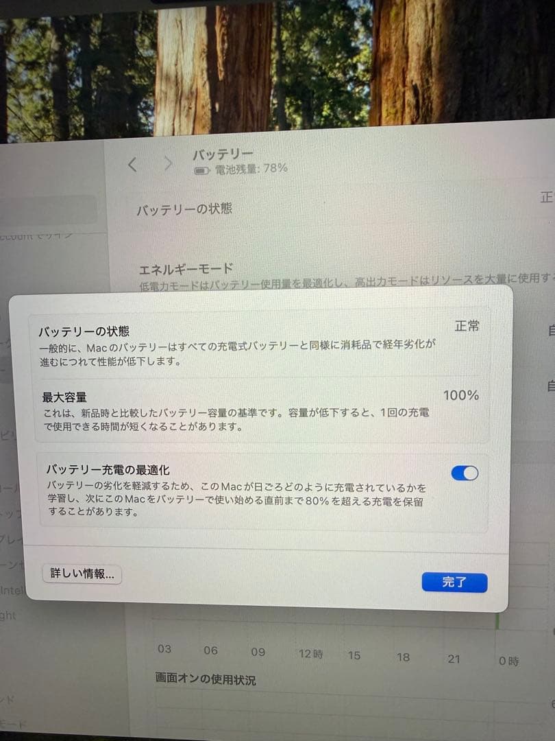 【 M4Proチップ】MacBook Pro14インチ