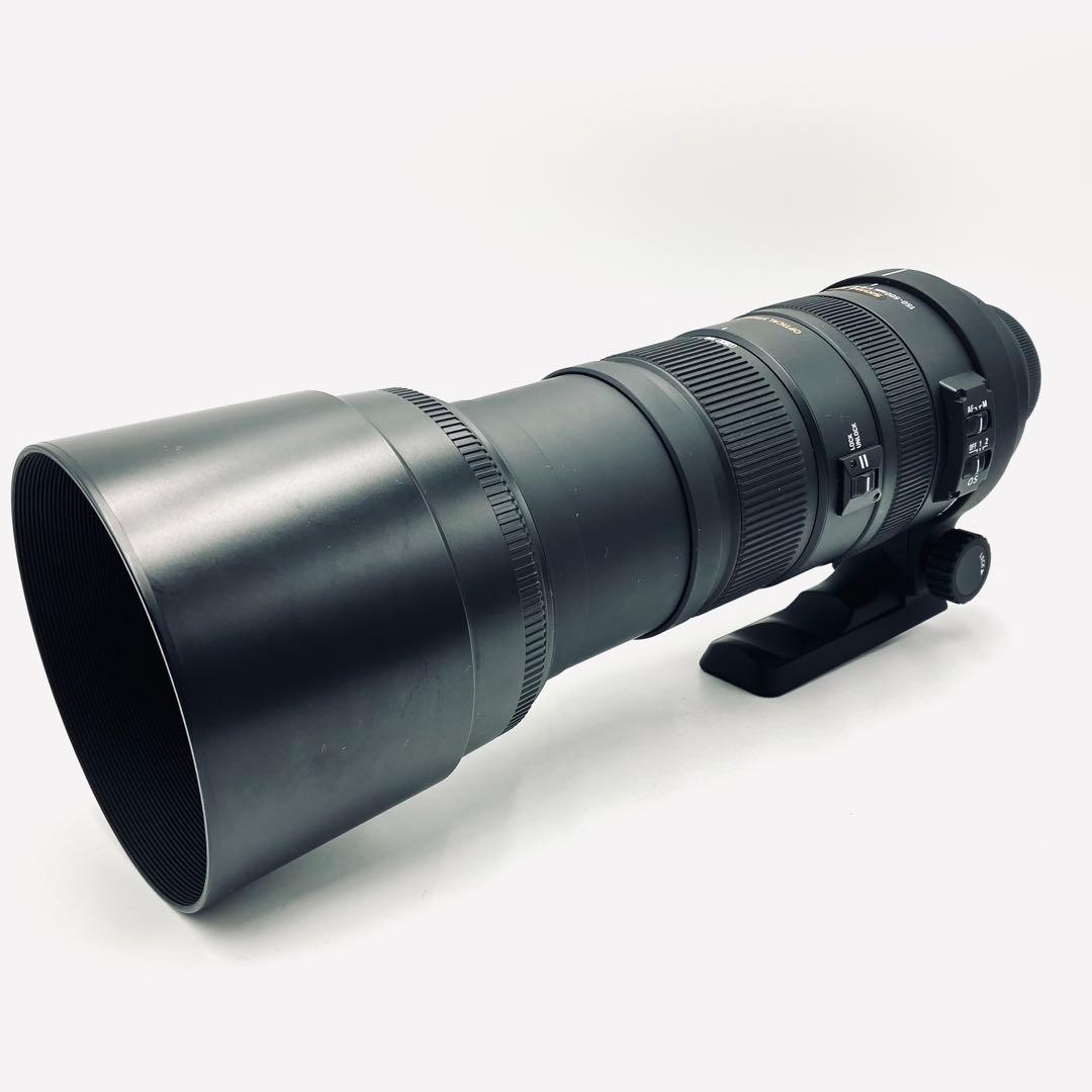 SIGMA 150-500mm F5-6.3 DG APO HSM Fマウント