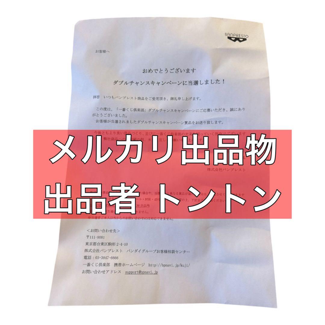 ダブルチャンス賞一番くじ ピカチュウ ぬいぐるみコレクション ワンピース