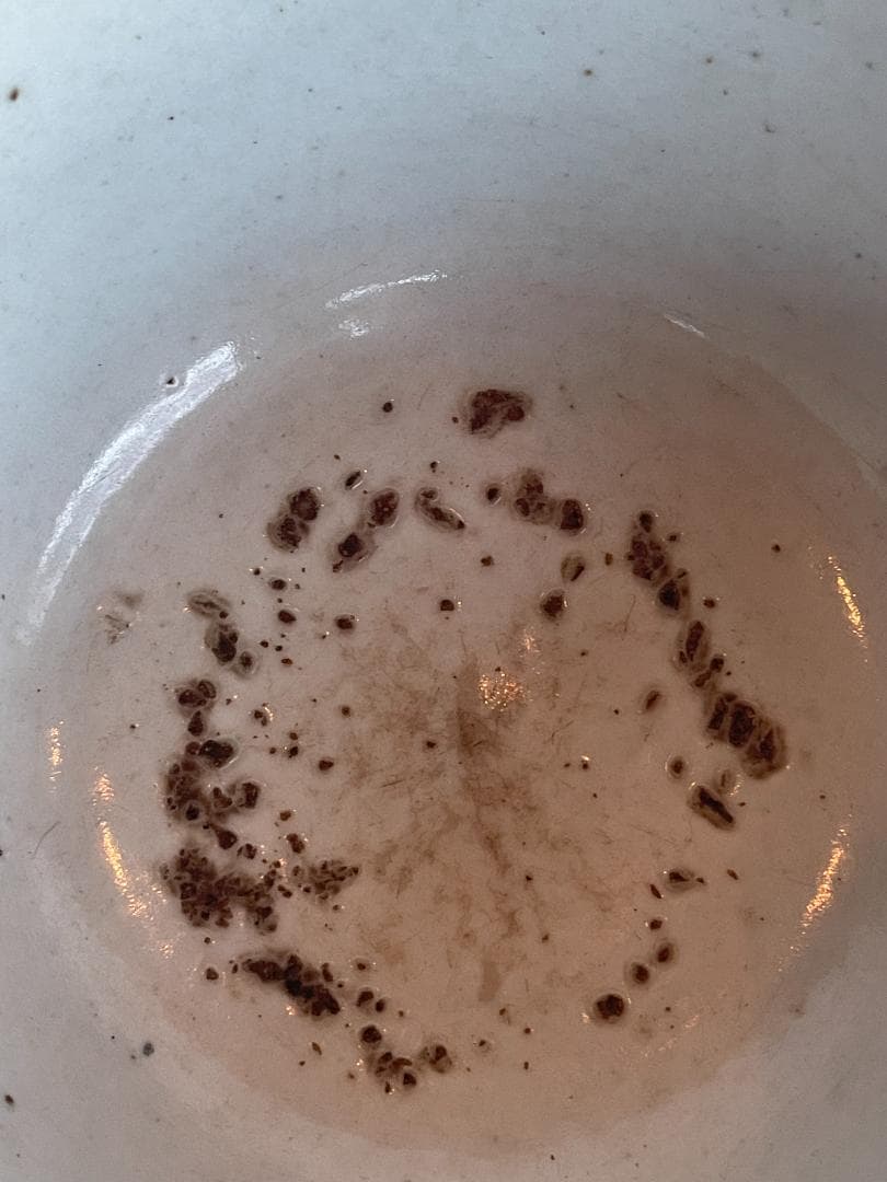 古渡 白磁碗 清代中後期 中国 南方民窯 唐物 茶碗 14.5cm 古陶磁 古玩