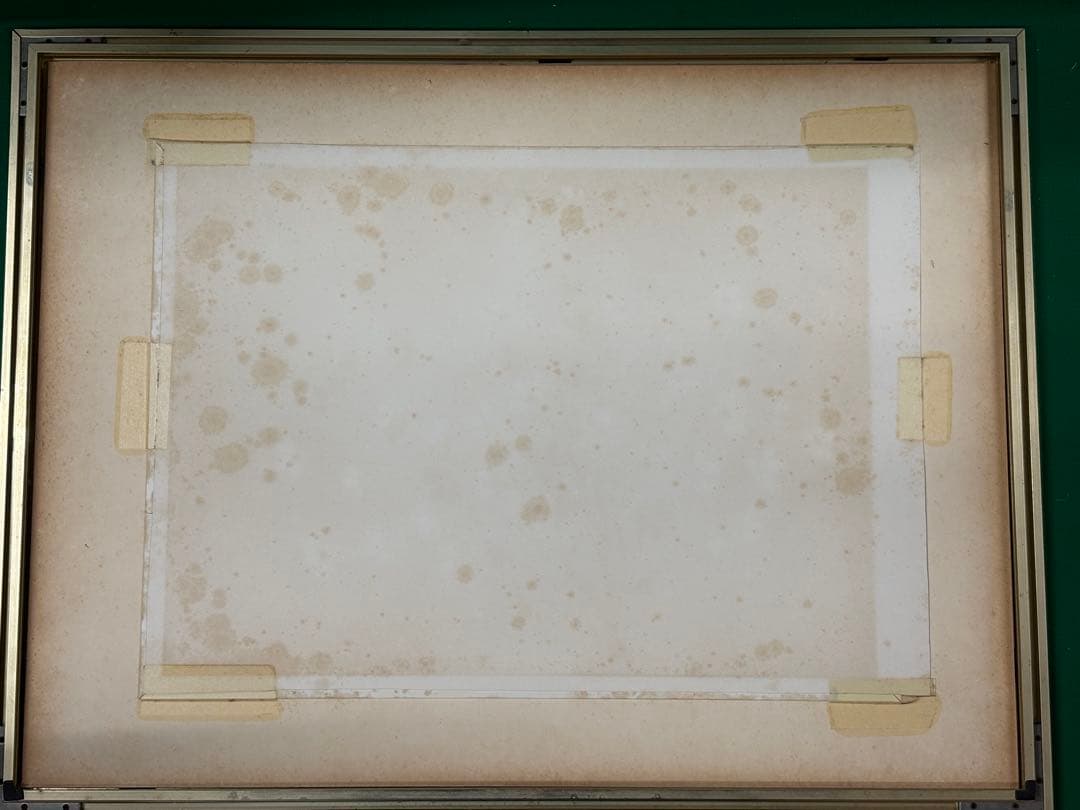 荒木幸史【Cosmos Fantasy】限定200 コスモス　青い 長崎　諫早