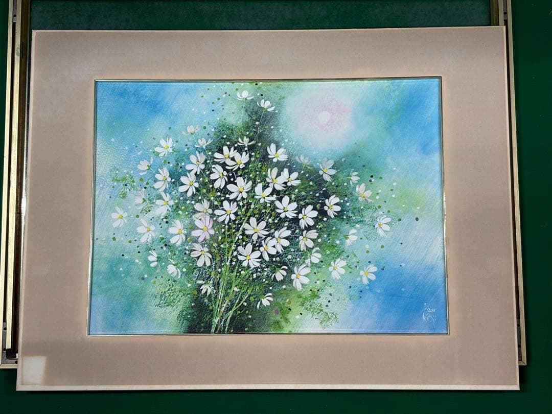 荒木幸史【Cosmos Fantasy】限定200 コスモス　青い 長崎　諫早