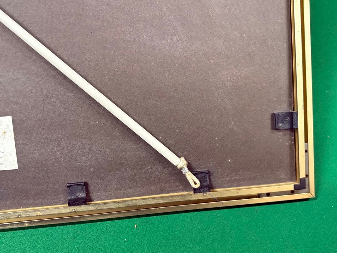 荒木幸史【Cosmos Fantasy】限定200 コスモス　青い 長崎　諫早