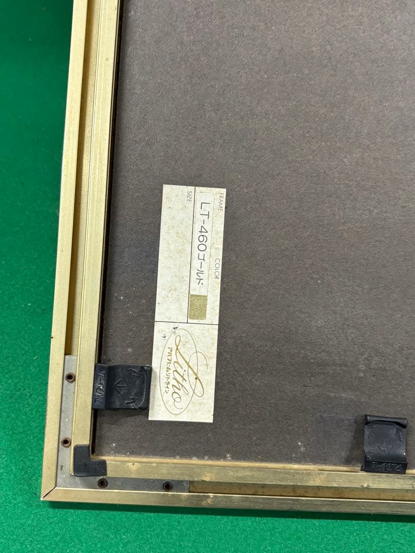 荒木幸史【Cosmos Fantasy】限定200 コスモス　青い 長崎　諫早