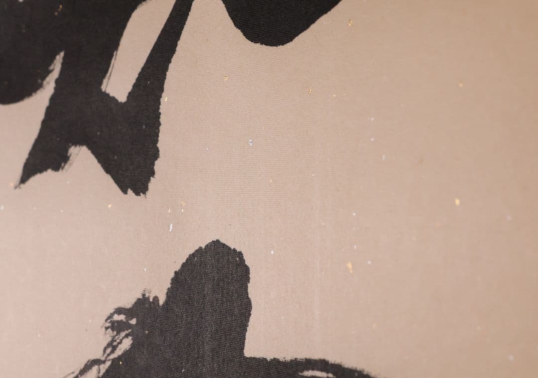 【模写】一行書 在印 幸子 知命亦何憂 紙本 掛軸 金銀彩 茶掛 MB248