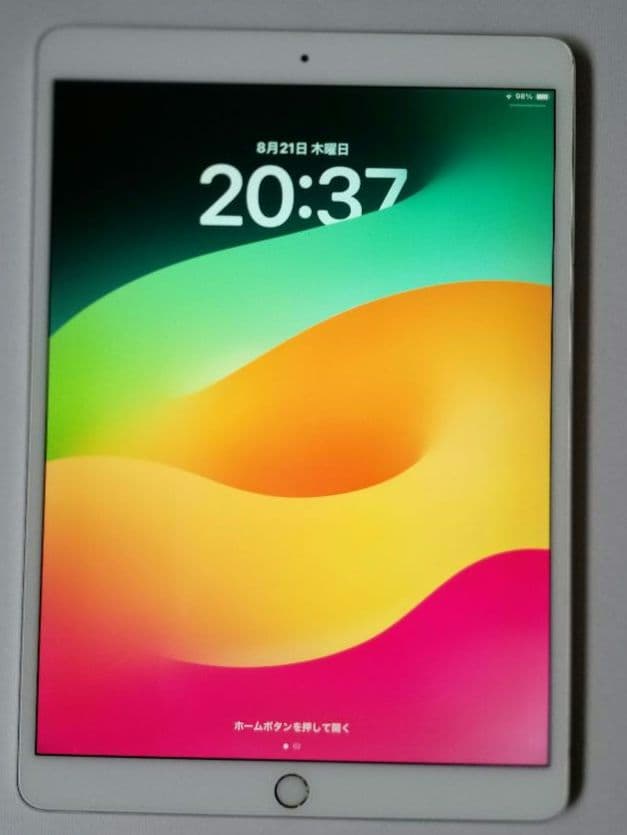 iPad Pro10.5 256gb　Wi-Fiモデル　シルバー