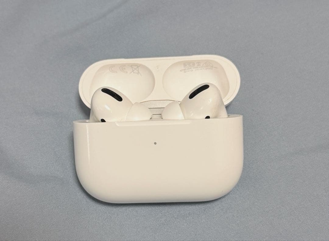 AirPods Pro 第1世代 本体・ケースセット
