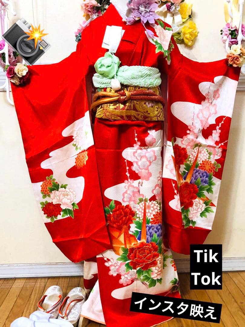 豪華正絹7歳完全フルセット⭐︎人気赤地菊金糸刺繍⭐︎✨梅花金彩煌びやか逸品