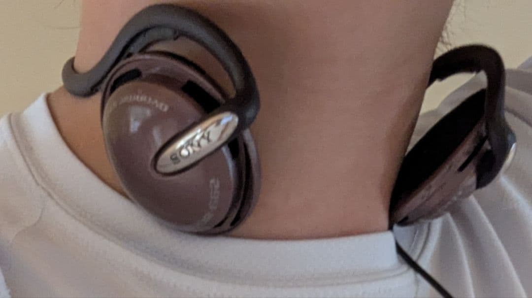 リリィシュシュのすべて 有線 ヘッドホン SONY MDR-G62 g72