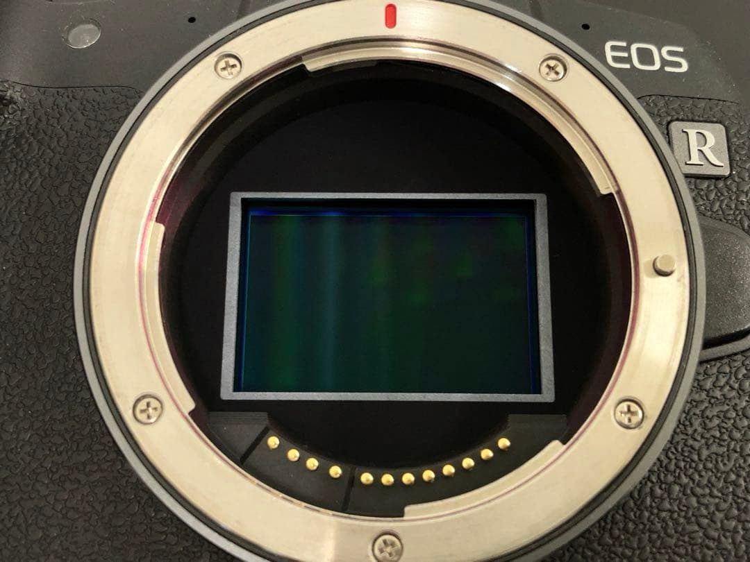 Canon EOS Rミラーレスカメラ本体バッテリー2個付き