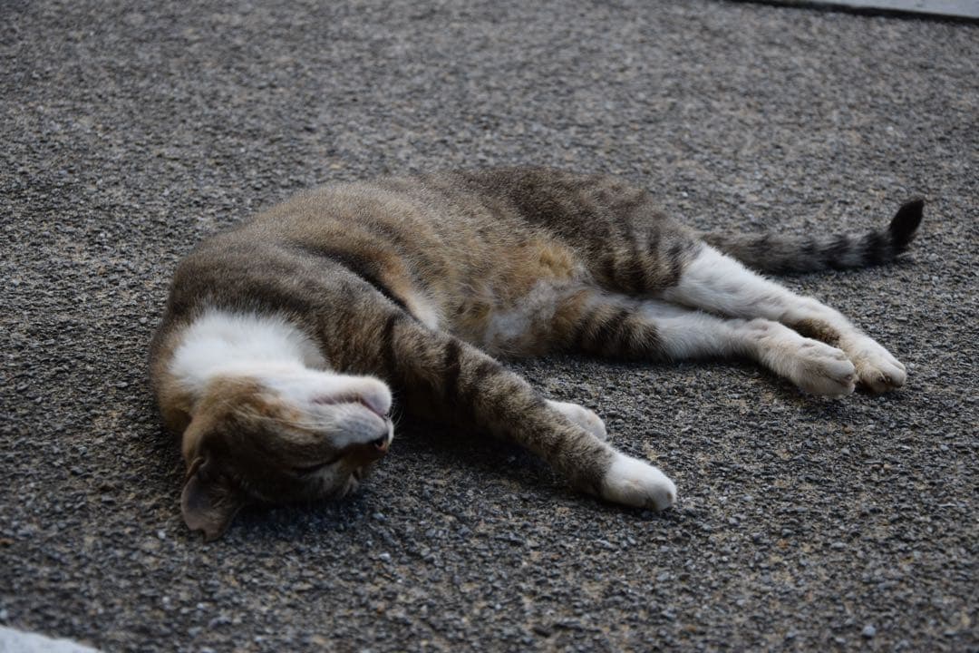 Sony zv-e10 パワーズームレンズキット