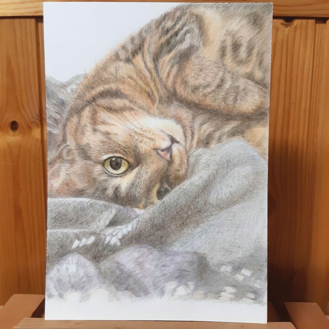 hideca様オーダー品　色鉛筆画　手描き