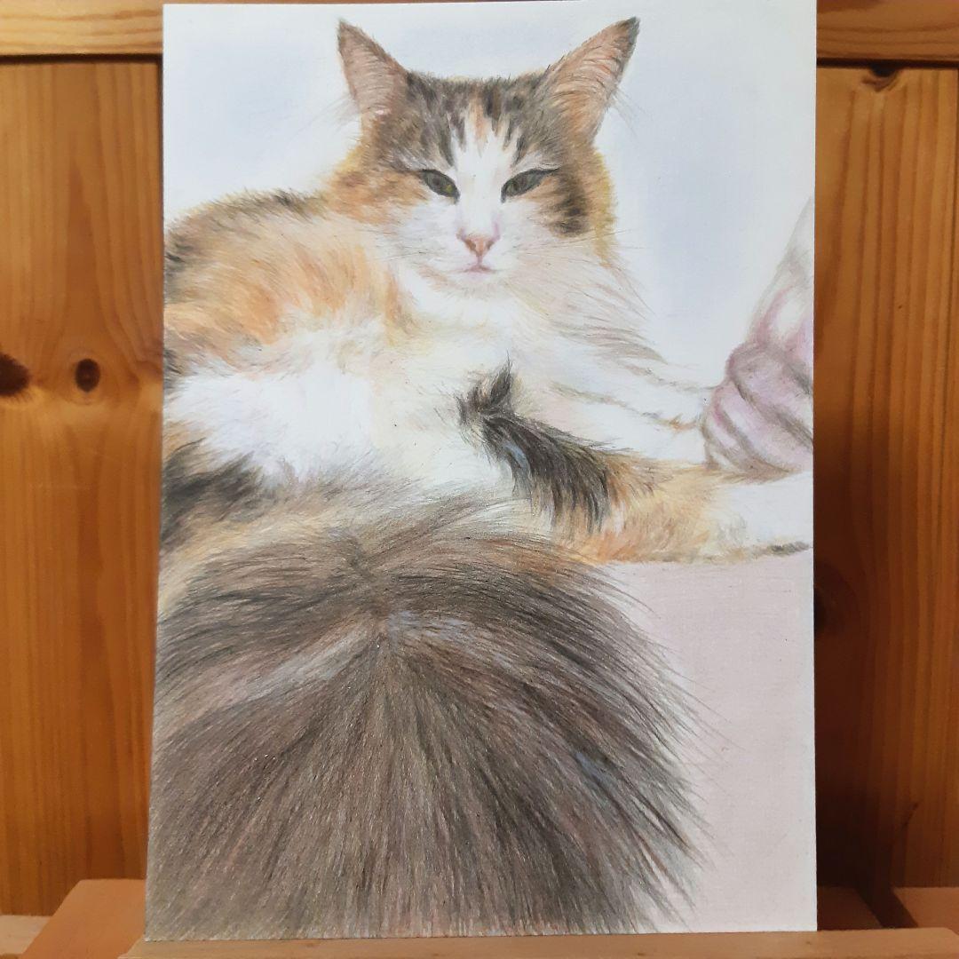 hideca様オーダー品　色鉛筆画　手描き