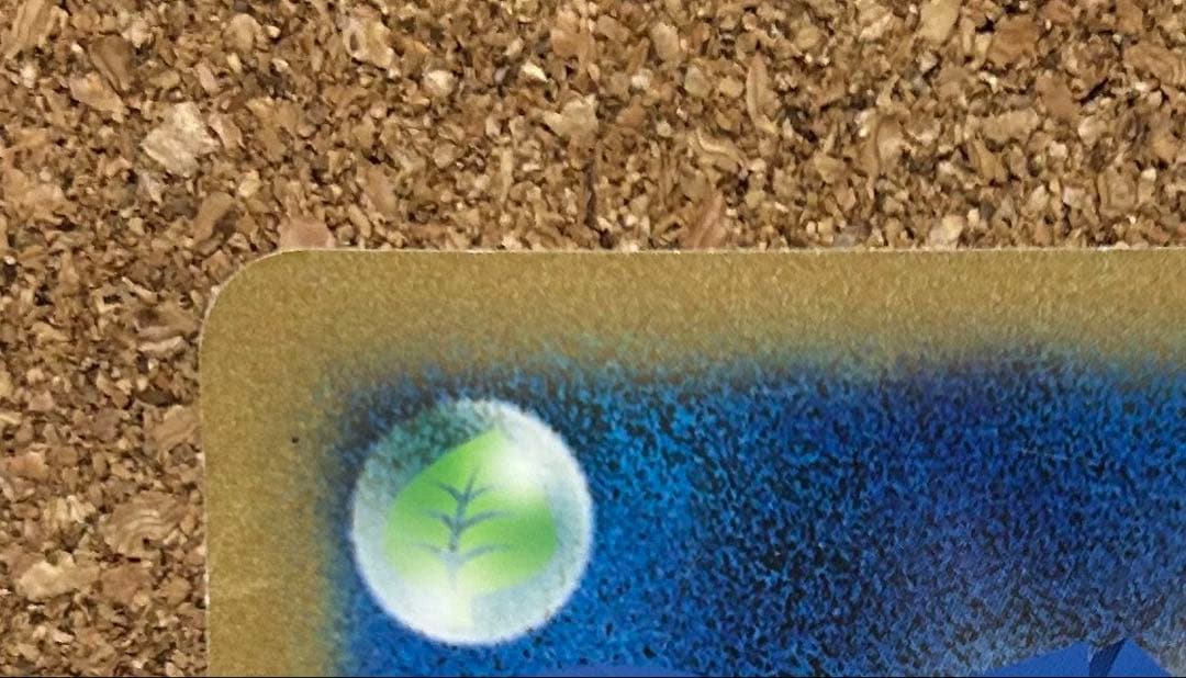 ピカチュウ ジャンボカード おたんじょうび BW-P