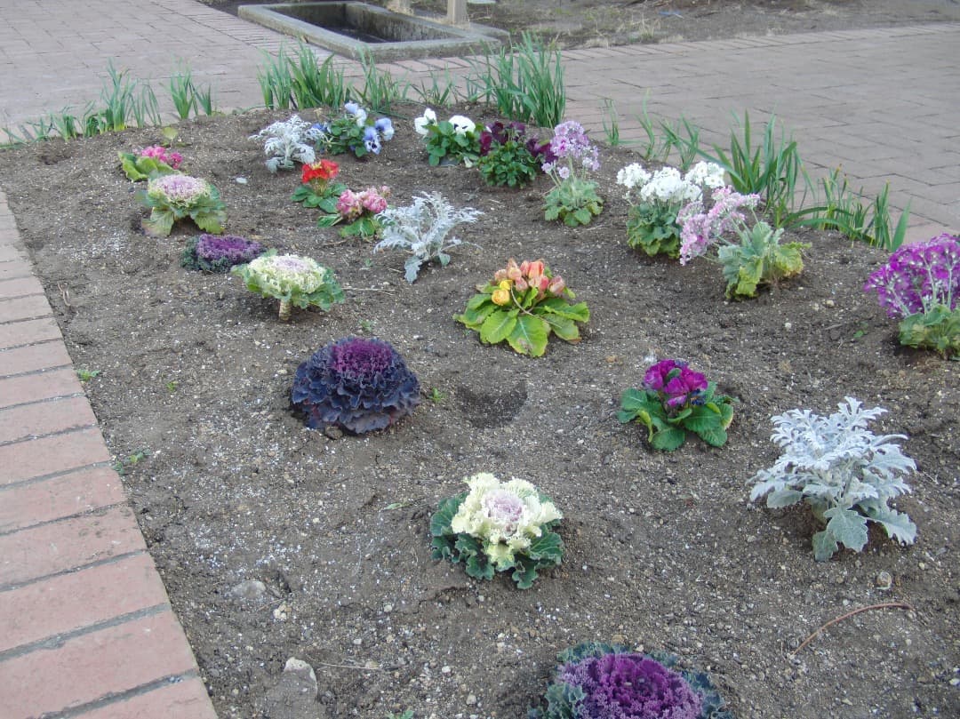 実写美⭕️訳あり【動作確認済】CASIO EXILIM EX-FC150