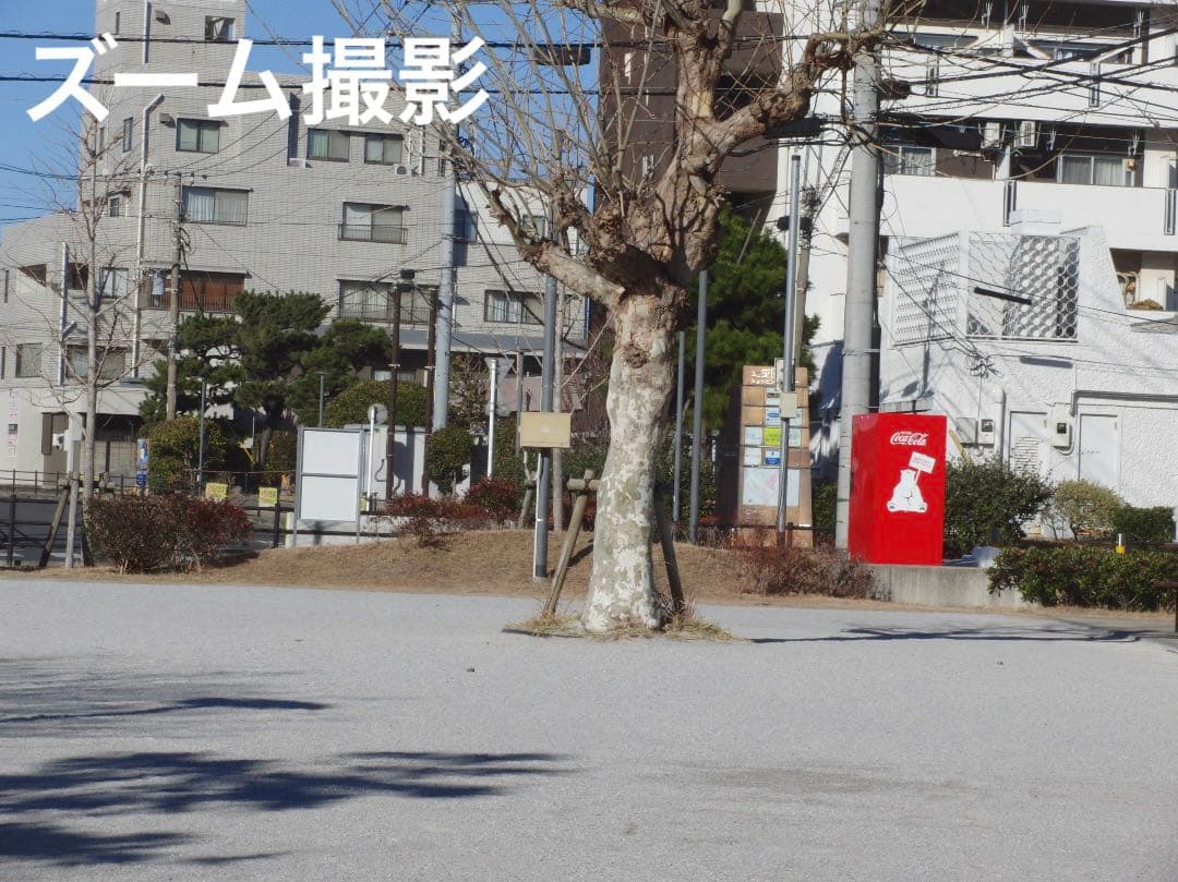 実写美⭕️訳あり【動作確認済】CASIO EXILIM EX-FC150