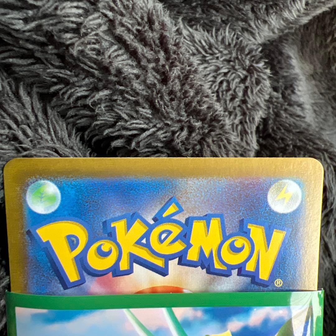 ブラッキー ex SAR テラスタルフェス