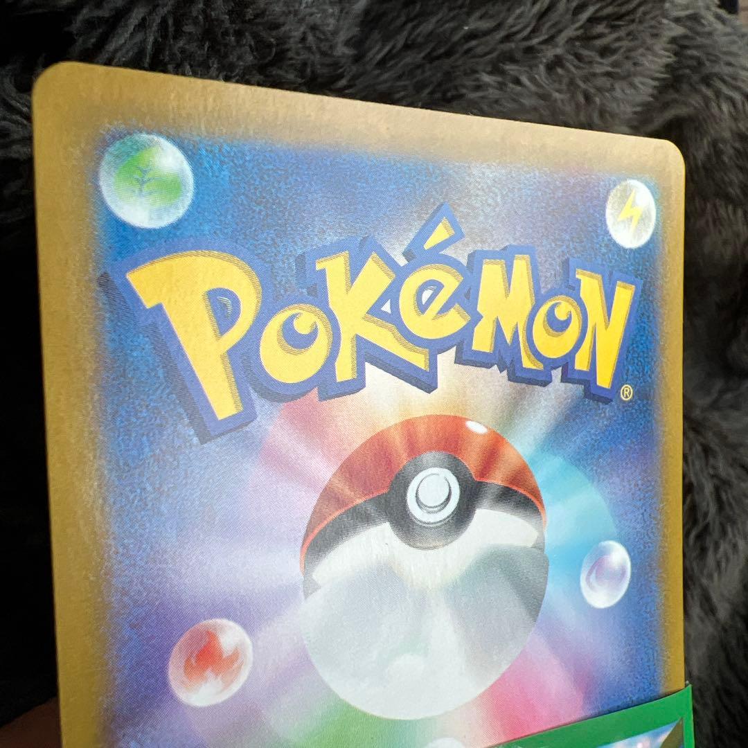 ブラッキー ex SAR テラスタルフェス