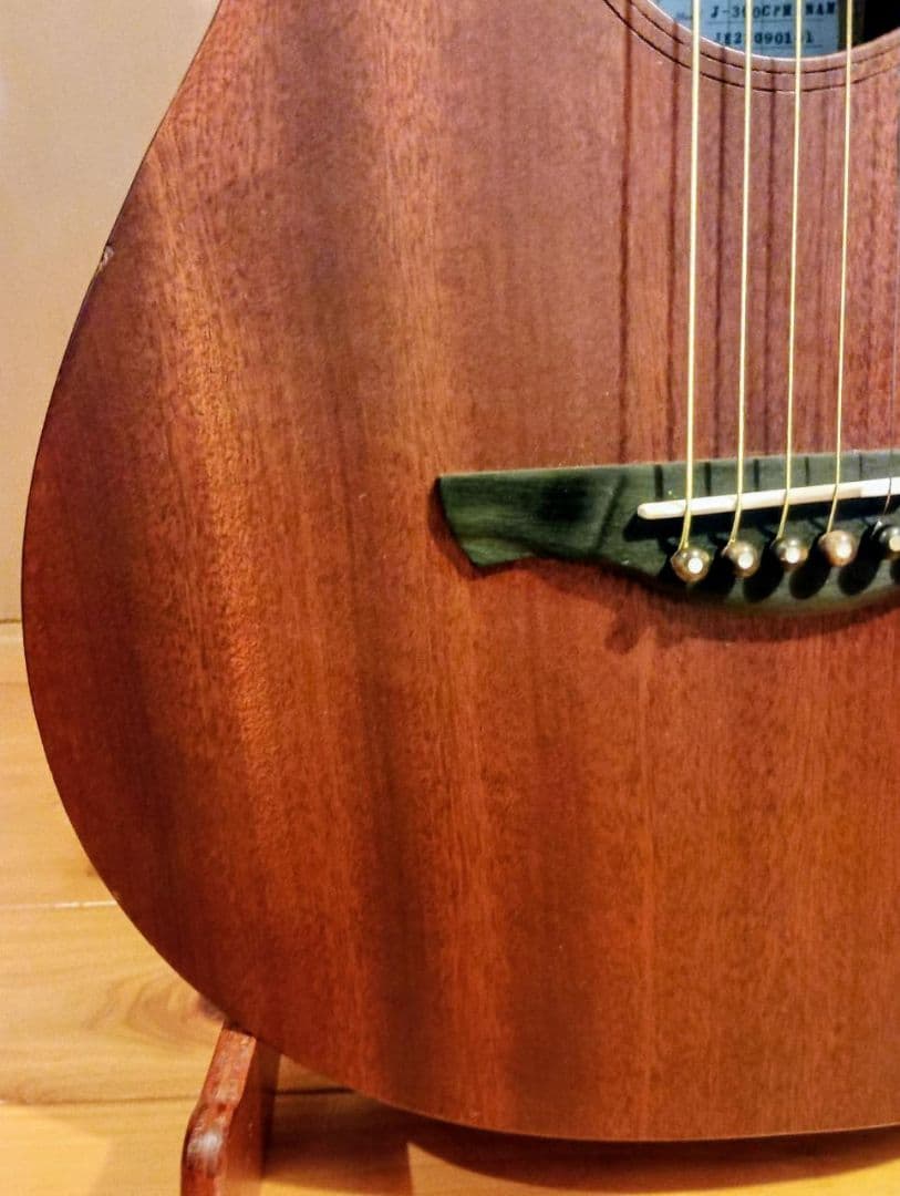 【遊べる生音】James J-300CP/M トランスギター・サウンドポート搭載