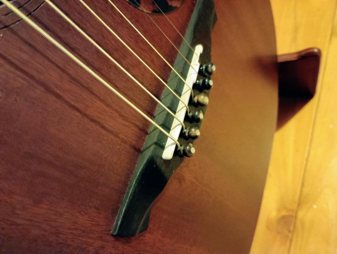 【遊べる生音】James J-300CP/M トランスギター・サウンドポート搭載