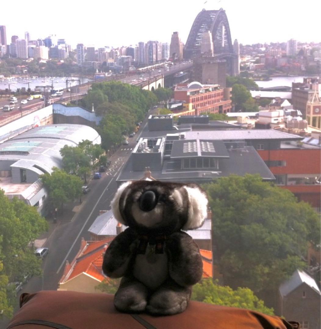 GUCCI(グッチ) コアラぬいぐるみ　シドニー限定