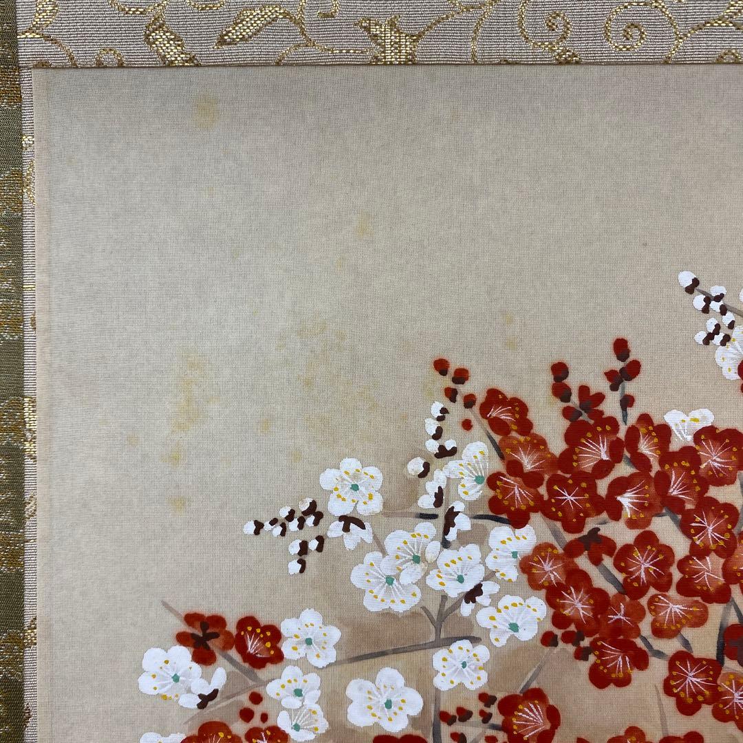 美品 掛け軸 林萬城作 紅白梅図 共箱 縁起物 年中掛け 盆栽