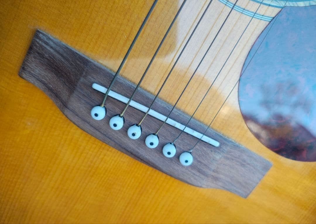 【美品 ランバー LF-1 VS 入門セットソフトケース付】