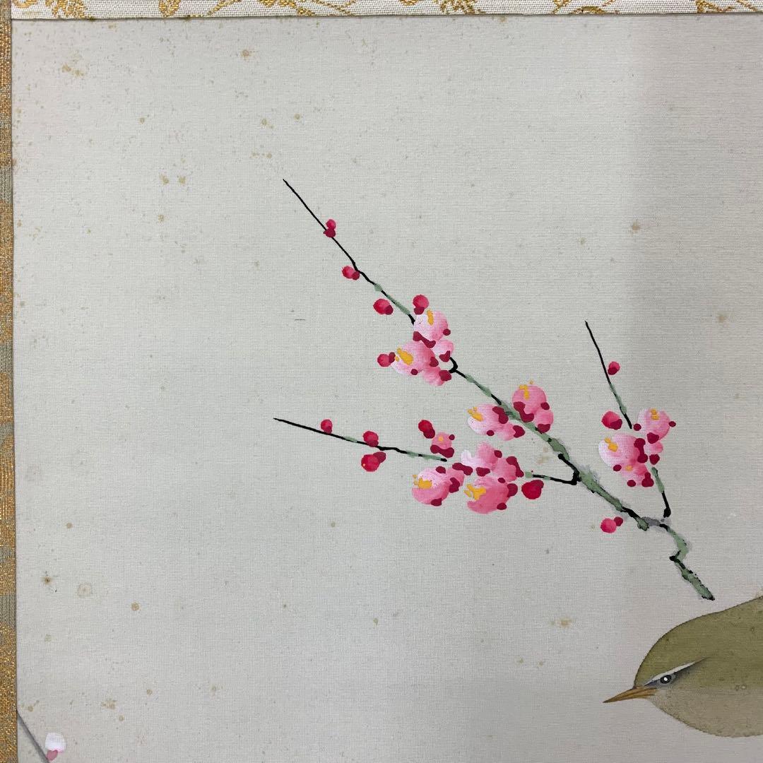【掛軸】山田帆丘「梅花小禽」共箱 花鳥 紅白梅 鶯