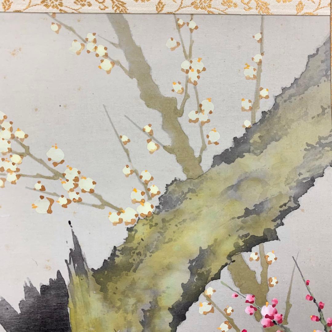 【掛軸】山田帆丘「梅花小禽」共箱 花鳥 紅白梅 鶯