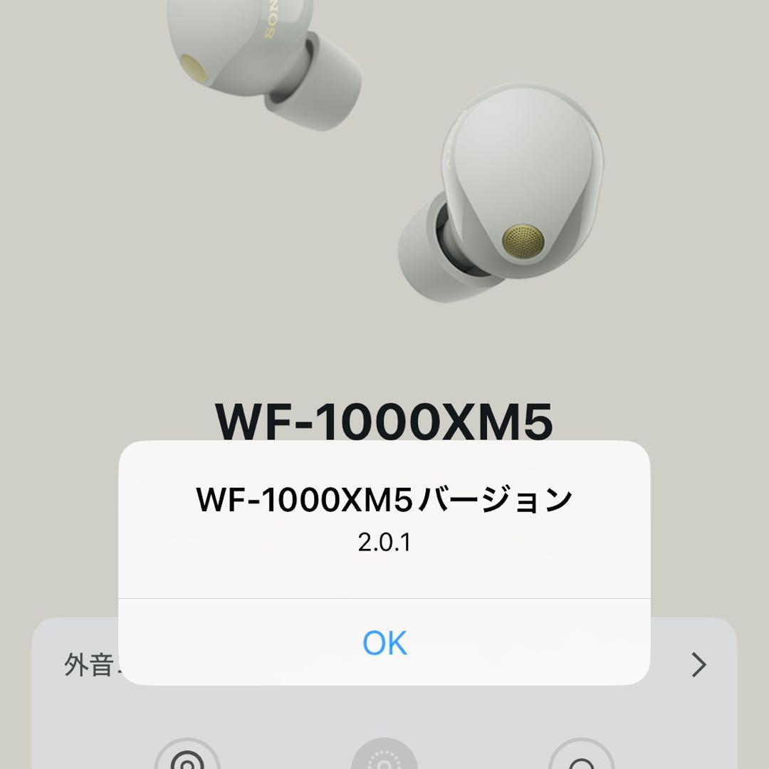 動作品 SONYワイヤレスイヤホン WF-1000XM5 右耳のみ R シルバー
