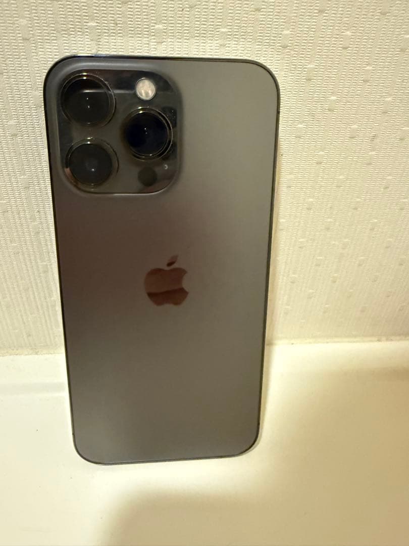 【米国版】iPhone13Pro 256GB グラファイト　MagSafeケース