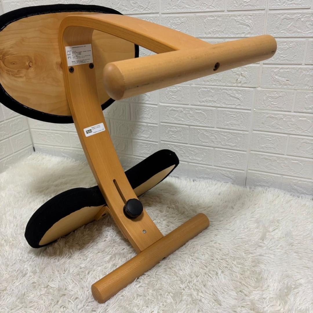 【美品】バランスチェア　イージー　リボ社　ブラック