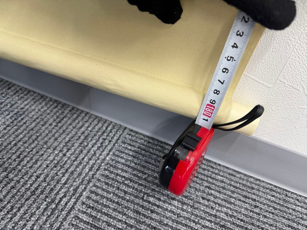 【掛け軸】夕日と松の木の掛軸/木箱付き/美品